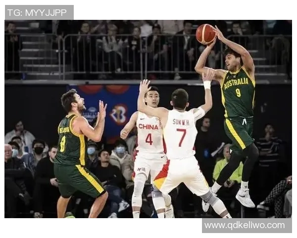 深圳篮球队状态飙升创历史新高引发球迷热议与期待